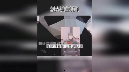 大锤助理爆料了吗视频播放,揭秘幕后真相