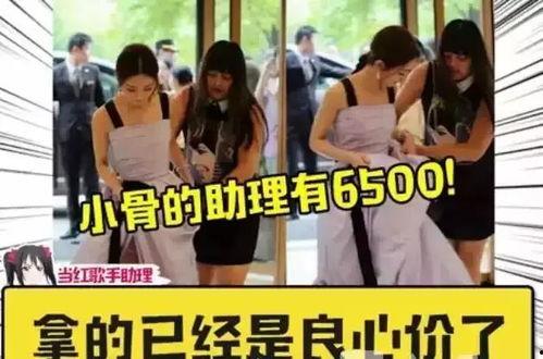一般怎么当明星助理,揭秘成为璀璨星辉背后的贴心助手