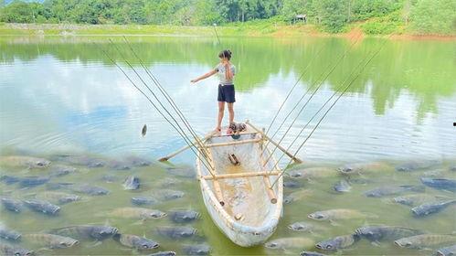 弹杆钓鱼视频,视频教学带你轻松上钩