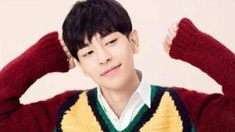 刘可颖在线观看免费,揭秘她的魅力与才华