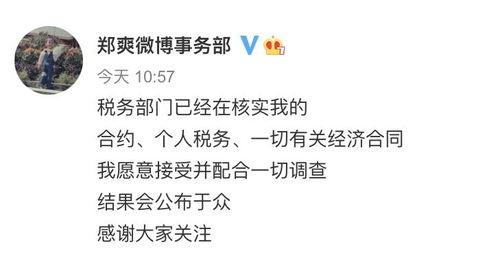 明星工作室趋势,创意孵化与品牌融合的跨界之旅