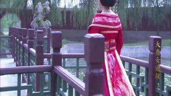 女巡按全集免费观看,揭秘古代女官的神秘生涯，免费观看全集