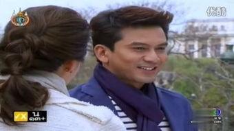 凤凰劫 免费观看,免费畅享惊悚悬疑之旅