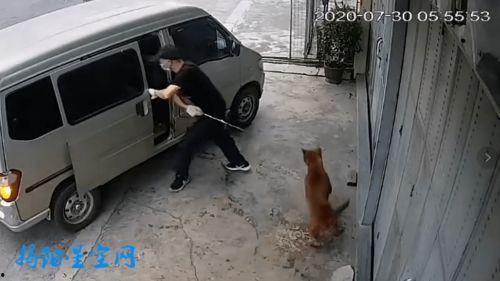 广东面包车爆料视频,揭秘城市生活百态