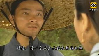 寻秦记02粤语免费观看,穿越时空的冒险之旅再续篇章