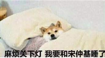 扑倒老公表情包,甜蜜瞬间，笑翻朋友圈